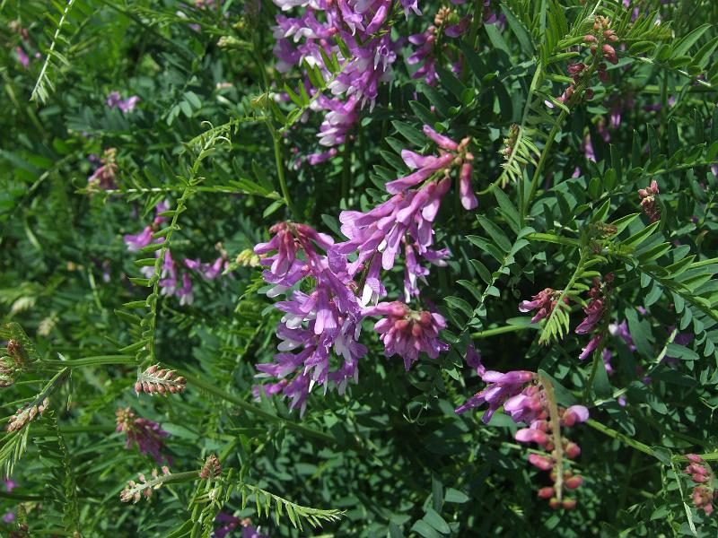 2010-05- (127).JPG